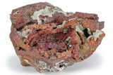 Gemmy Austinite Crystals on Matrix - Ojuela Mine, Mexico #219856-2